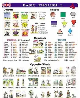 Gramatika a slovná zásoba Basic English I. - A4 karta - Kolektív autorov