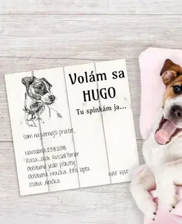 Tabuľky s venovaním (darčeky) Obraz na stenu - Meno pre psa na tabuľke s fotkou