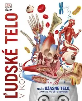 Ľudské telo, človek Ľudské telo v kocke - neuvedený,Róbert Hrebíček