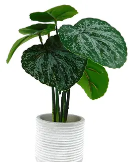 Umelé kvety MAKRO - Kvet umelý v kochlíku 7x27cm