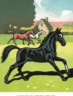 V cudzom jazyku Black Beauty - Anna Sewell