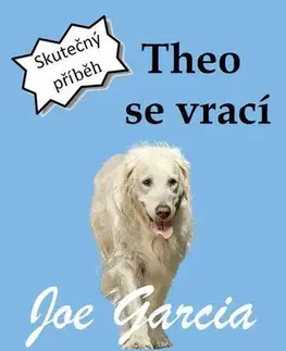 Romantická beletria Theo se vrací - Joe Garcia