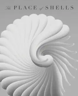 Svetová beletria The Place of Shells - Mai Ishizawa,Polly Barton