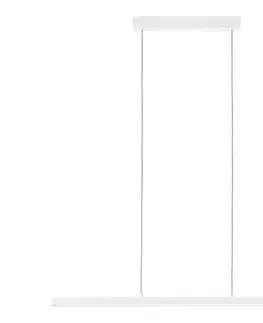 Svietidlá Paulmann 79901 - LED/42W Stmievateľný luster na lanku LENTO 230V 79901