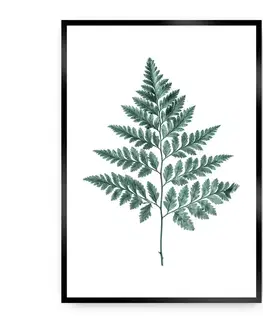 Obrazy Plagát Fern 21 x 30 cm Emerald Green