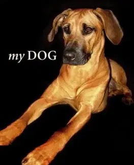 Cudzojazyčná literatúra My Dog - Kolektív autorov