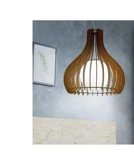 Svietidlá Eglo 96214 - Luster TINDORI 1xE27/60W/230V 96214