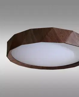 Moderné lampy do obývačky Stropnica WALD 1382 34W LED PL1
