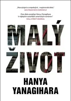 Romantická beletria Malý život - Yanagihara Hanya