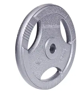 Závažia k činkám Liatinový kotúč inSPORTline Hamerton 25 kg 30 mm
