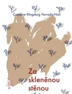 Svetová beletria Za skleněnou stěnou - Caroline Ringskog Ferrada-Noli,Jana Holá