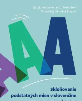 Slovníky Skloňovanie podstatných mien v slovenčine s korpusovými príkladmi - Kolektív autorov