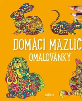 Nalepovačky, vystrihovačky, skladačky Domácí mazlíčci - omalovánky - Julie Bezděková