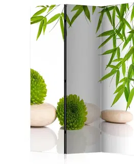 Paravány Paraván Green Relax Dekorhome