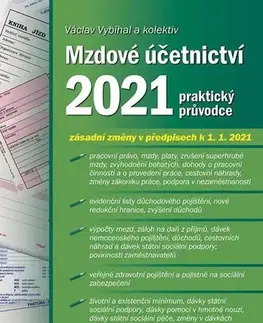 Dane, účtovníctvo Mzdové účetnictví 2021 - Václav Vybíhal