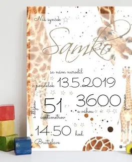 Tabuľky s venovaním (darčeky) Darček na krstiny - Tabuľka pre dieťa s údajmi o narodení