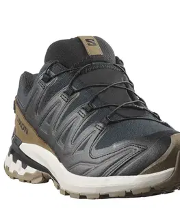 Trail Salomon Xa Pro 3D V9 GTX Lifelong W Veľkosť: 37 1/3 EUR