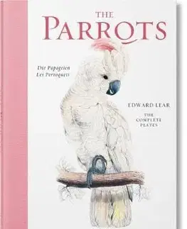 Fotografia Lear, Parrots - Francesco Solinas