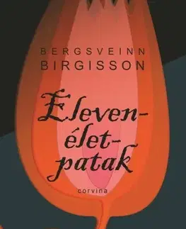 Svetová beletria Elevenélet-patak - Bergsveinn Birgisson