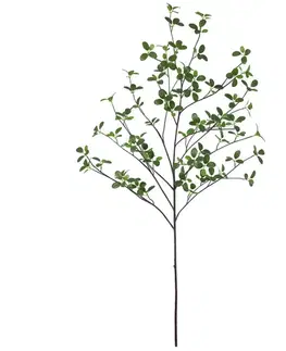 Záhradné dekorácie Vetvička vodného Ficusa 110 cm