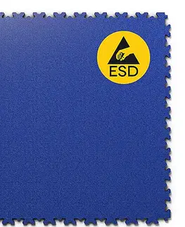 ESD FORTELOCK ESD Koža Modrá
