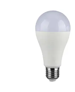 Žiarovky  LED Žiarovka SAMSUNG CHIP A65 E27/17W/230V 3000K 23687