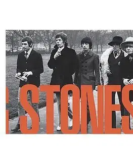 Cudzojazyčná literatúra Rolling Stones 365 Days