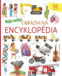 Encyklopédie pre deti a mládež - ostatné Moja veľká obrázková encyklopédia - Renzo Barsotti,Barbora Lehotská