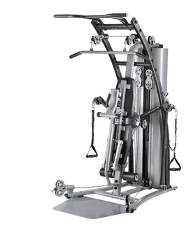 Posilňovacie veže Posilňovacia veža inSPORTline Profigym C200
