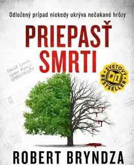 Detektívky, trilery, horory Priepasť smrti (Kate Marshall 3) - Robert Bryndza,Vladislav Gális