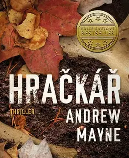 Detektívky, trilery, horory Hračkář - Andrew Mayne