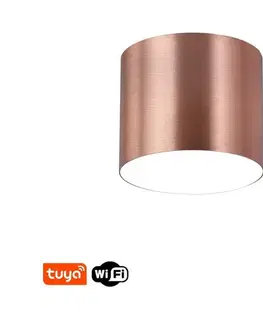 Svietidlá  NEO 07319L - LED stmievateľné stropné svietidlo RONDATE 18W/230V 11,5 cm Wi-Fi Tuya ružové 07319L