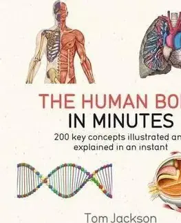 Ľudské telo, človek The Human Body in Minutes - Tom Jackson