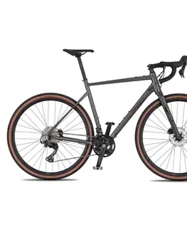 Bicykle Gravel bicykel 4EVER Gromvel Elite 28" - model 2026 titan matt - 20" (165-180 cm)