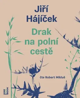 Beletria - ostatné OneHotBook Drak na polní cestě