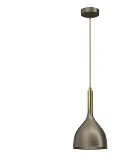Svietidlá  Luster na lanku NOAK 1xE27/15W/230V mosadz/zlatá 4002
