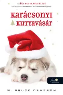 Romantická beletria Karácsonyi kutyavásár - W. Bruce Cameron