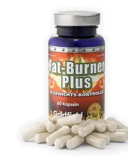 Komplexné spaľovače Fat-Burner Plus Turbo - Goldfield 60 kaps.