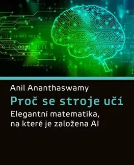 Veda, technika, elektrotechnika Proč se stroje učí - Anil Ananthaswamy,Ivo Magera