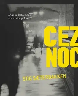 Detektívky, trilery, horory Cez noc - Stig Saterbakken