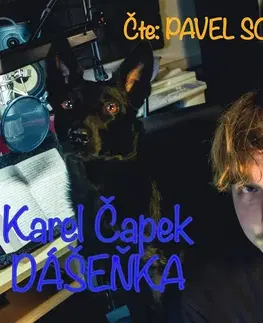 Rozprávky Socha Dášeňka čili život štěněte