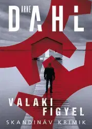 Detektívky, trilery, horory Valaki figyel - Arne Dahl