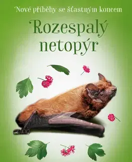 Rozprávky Nové příběhy se šťastným koncem – Rozespalý netopýr - Ladislava Horová