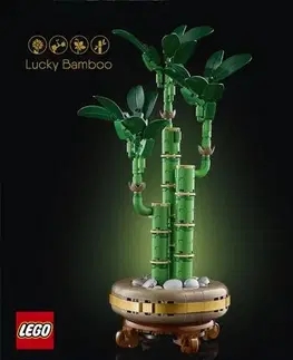 Stavebnice LEGO® - Botanicals - Bambus šťastia
