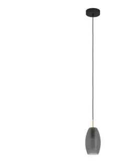 Svietidlá Eglo 900507 - Luster na lanku BATISTA 1xE27/40W/230V 900507