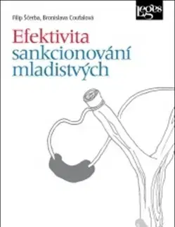 Trestné právo Efektivita sankcionování mladistvých - Bronislava Coufalová,Filip Sčerba
