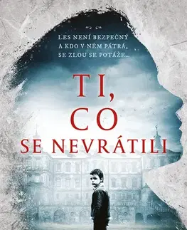 Detektívky, trilery, horory Ti, co se nevrátili - J.R. Erickson