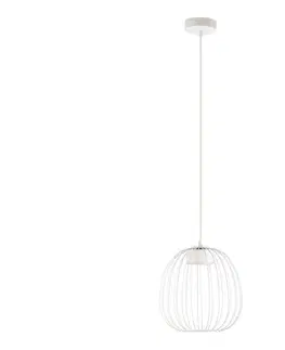 Svietidlá  Luster na lanku OVELLA 1xGX53/10W/230V pr. 25 cm krémový W-KM 1369S/1 SAND