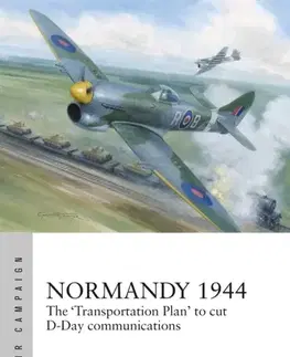 História Normandy 1944 - Julian Hale