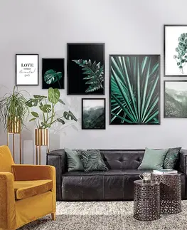 Obrazy Súbor obrazov Green Jungle 7szt.
